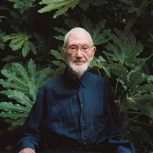 Martin Gayford