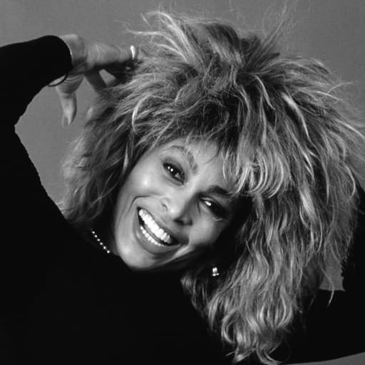 Tina   Turner