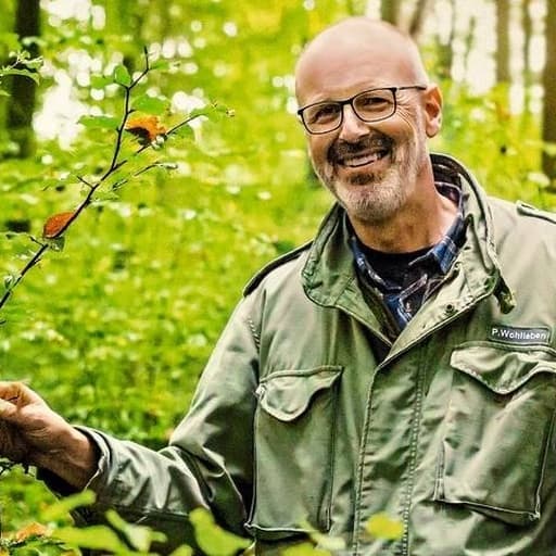 Peter Wohlleben